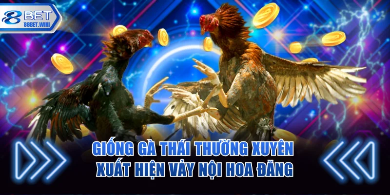 Giống gà Thái thường xuyên xuất hiện vảy nội hoa đăng